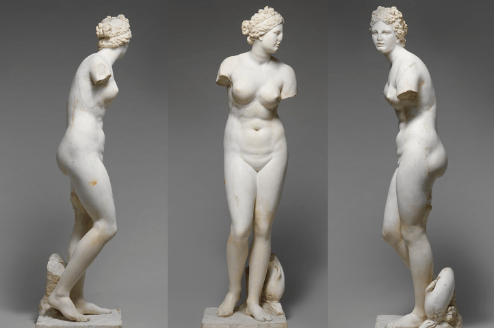 13.5 The Quest for a Hairless Body