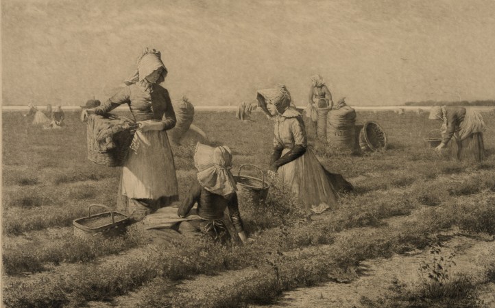 Agriculture: Was It a Bad Idea? (ep. 15.1)